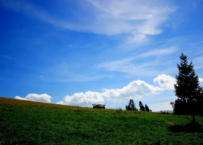Monte Vista 木屋 Rostoka (Transcarpathia)